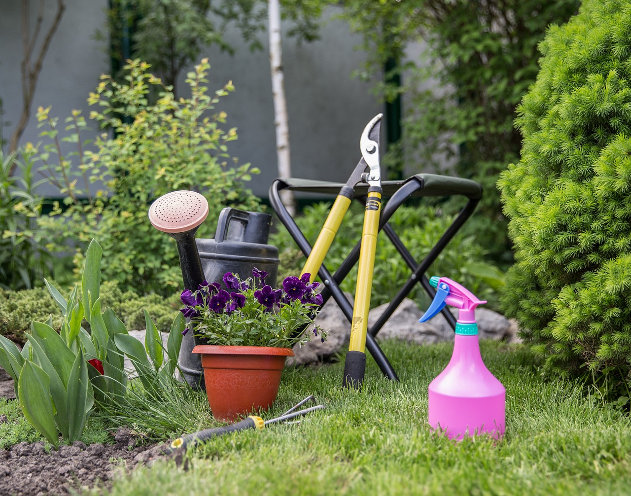 A Guide for Eco-Friendly Pest Control in Gardens
